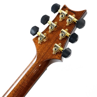 P.R.S. Ikebe Original Wood Library Custom24 McCarty Thickness Espresso #0340061 画像9