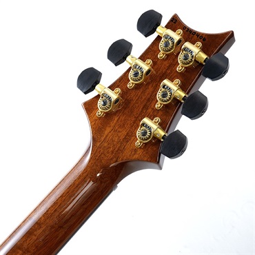 P.R.S. Ikebe Original Wood Library Custom24 McCarty Thickness Tiger Eye #0340406 画像9