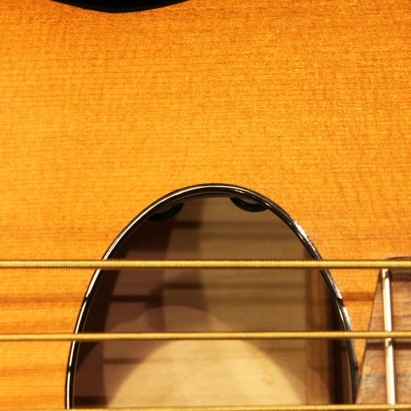 Veillette Guitars USED 中古 Flyer bass 4st 画像4