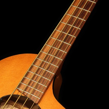 Veillette Guitars USED 中古 Flyer bass 4st 画像5
