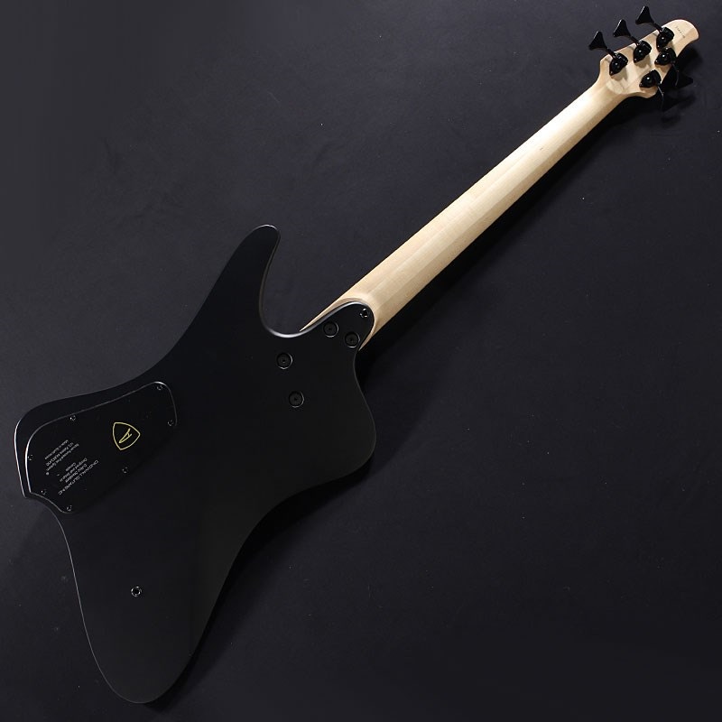 DINGWALL D-Roc Standard 5st (Matte Metallic Black) 画像1