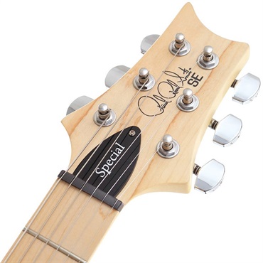 P.R.S. SE Swamp Ash Special (Charcoal) [SN.CTI F062153] 【特価】【2023年生産モデル】 画像6