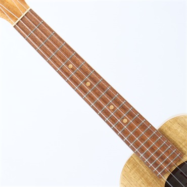 Koaloha 【USED】 KTO-10 2022年製 コアロハ 画像6