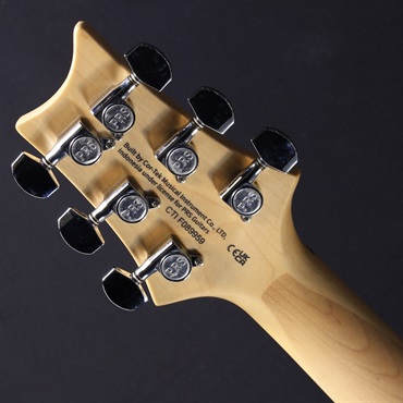 P.R.S. SE Swamp Ash Special (Charcoal)#CTI F089959【2023年生産モデル】【特価】 画像6