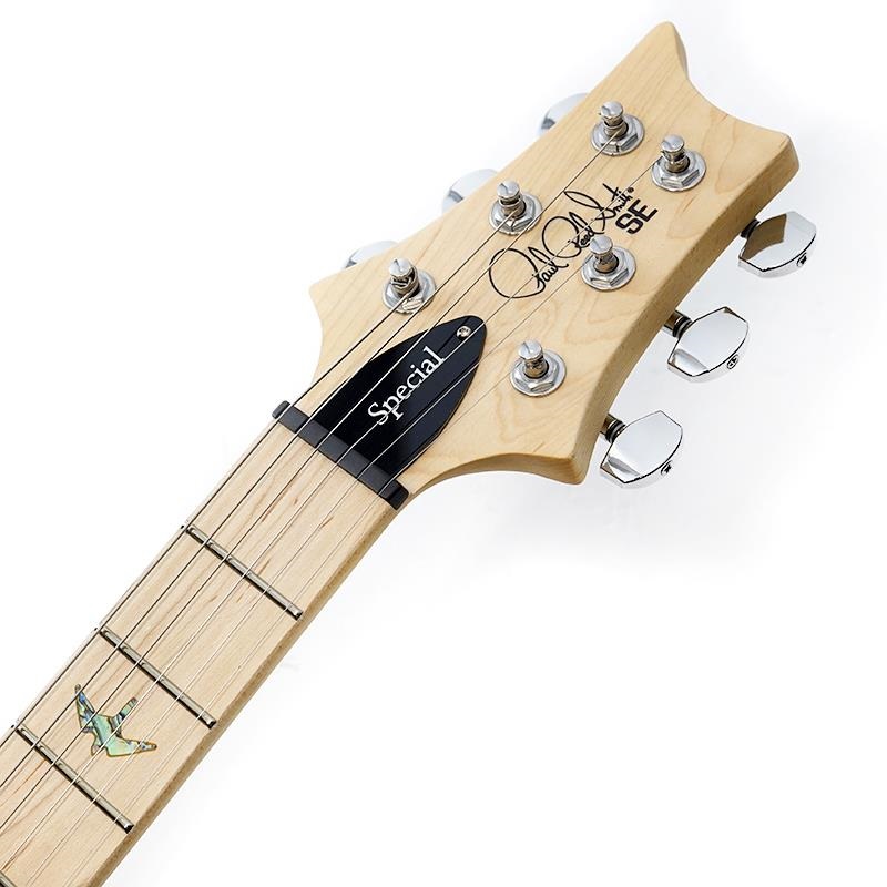 P.R.S. USED 中古 SE Swamp Ash Special (Charcoal) SN.CTIF098692 画像6