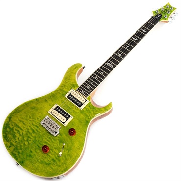 P.R.S. SE Custom 24 Quilt (Eriza Verde) SN.CTIF019631【限定生産モデル】【2023年生産モデル】 画像1