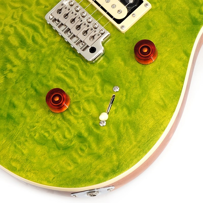 P.R.S. SE Custom 24 Quilt (Eriza Verde) SN.CTIF019631【限定生産モデル】【2023年生産モデル】 画像4