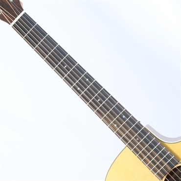 MARTIN GPC-10E Vintage Inspired Road Series 【限定スペシャルモデル】 マーチン マーティン 画像5