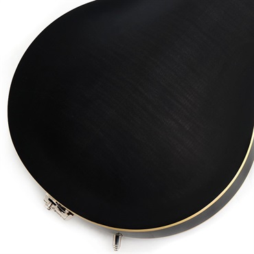 Duesenberg DTV-BLS Starplayer TV (Blue Sparkle) 画像7