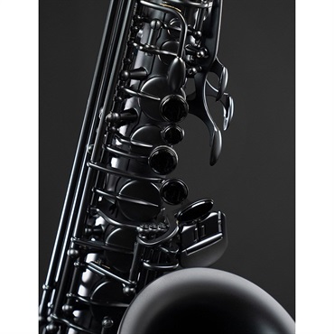 Selmer Paris 【限定モデル】アルトサックス セルマー Supreme シュプレーム 2025 Limited Edition マットブラックラッカー 画像5