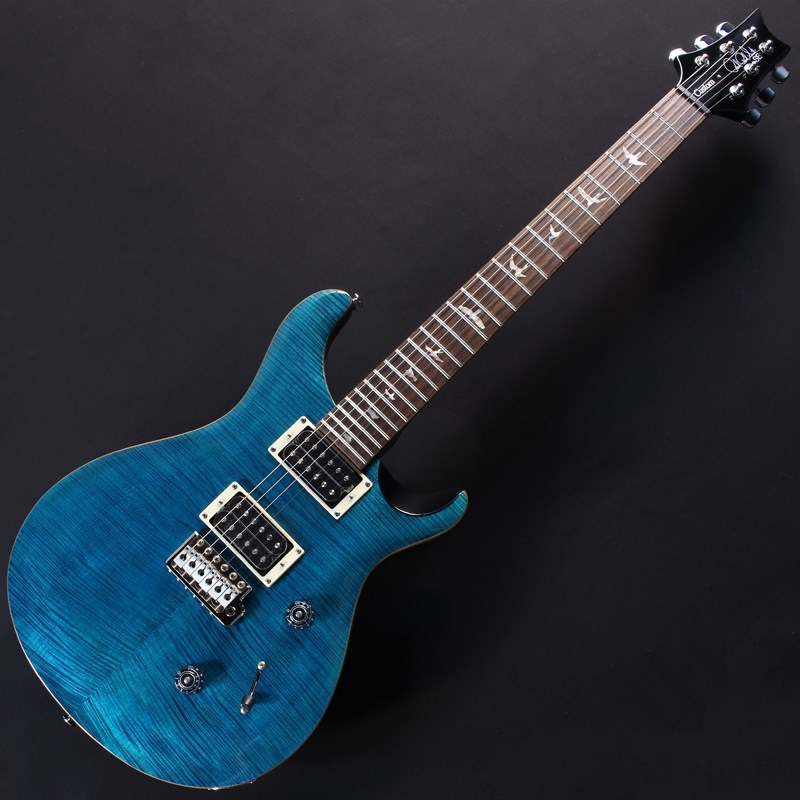 P.R.S. SE Custom 24 (Blue Matteo) 画像1