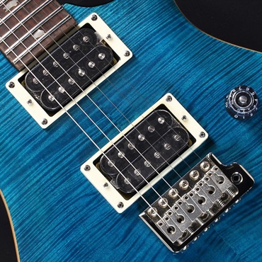 P.R.S. SE Custom 24 (Blue Matteo) 画像3