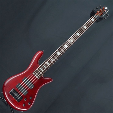 SPECTOR 【USED】 ReBop 5DLX (Black Cherry) 画像2