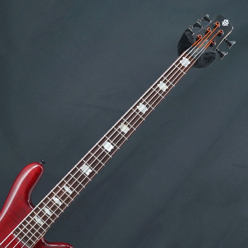 SPECTOR 【USED】 ReBop 5DLX (Black Cherry) 画像4