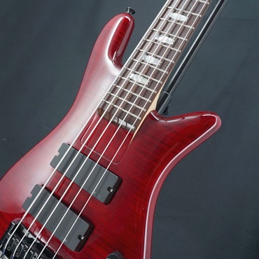 SPECTOR 【USED】 ReBop 5DLX (Black Cherry) 画像8