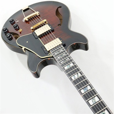 Ibanez ARTSTAR AMH100FM-DVS (Dark Violin Sunburst) 【特価】 画像4