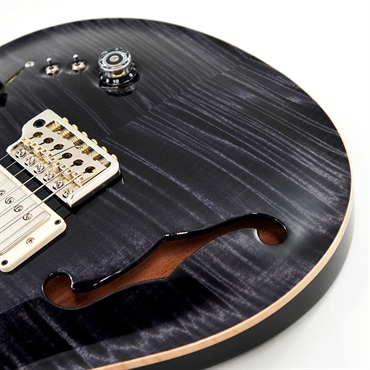 P.R.S. Special Semi-Hollow (Gray Black) [SN. 0394858] 画像10