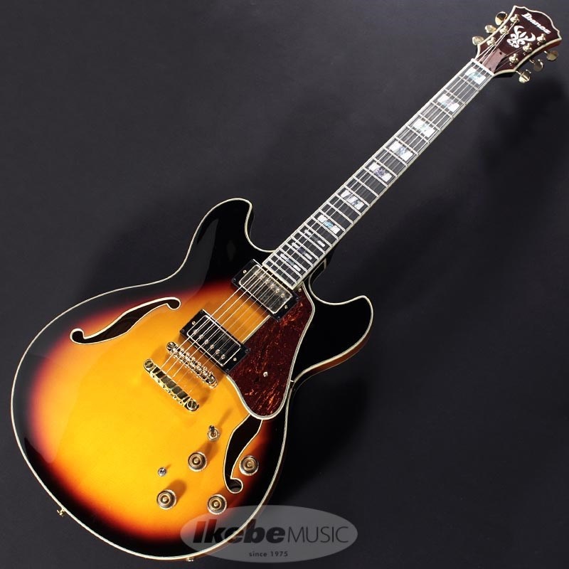 Ibanez AS113-BS【特価】 画像1