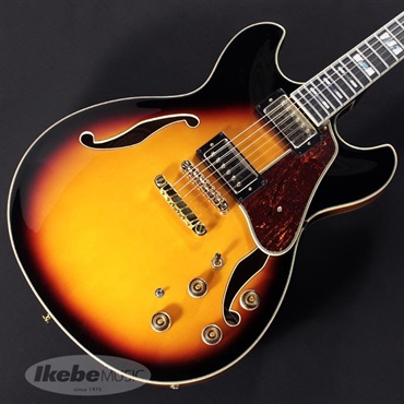 Ibanez AS113-BS【特価】 画像2
