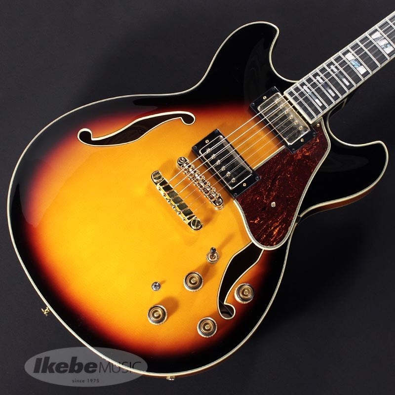 Ibanez AS113-BS【特価】 画像2