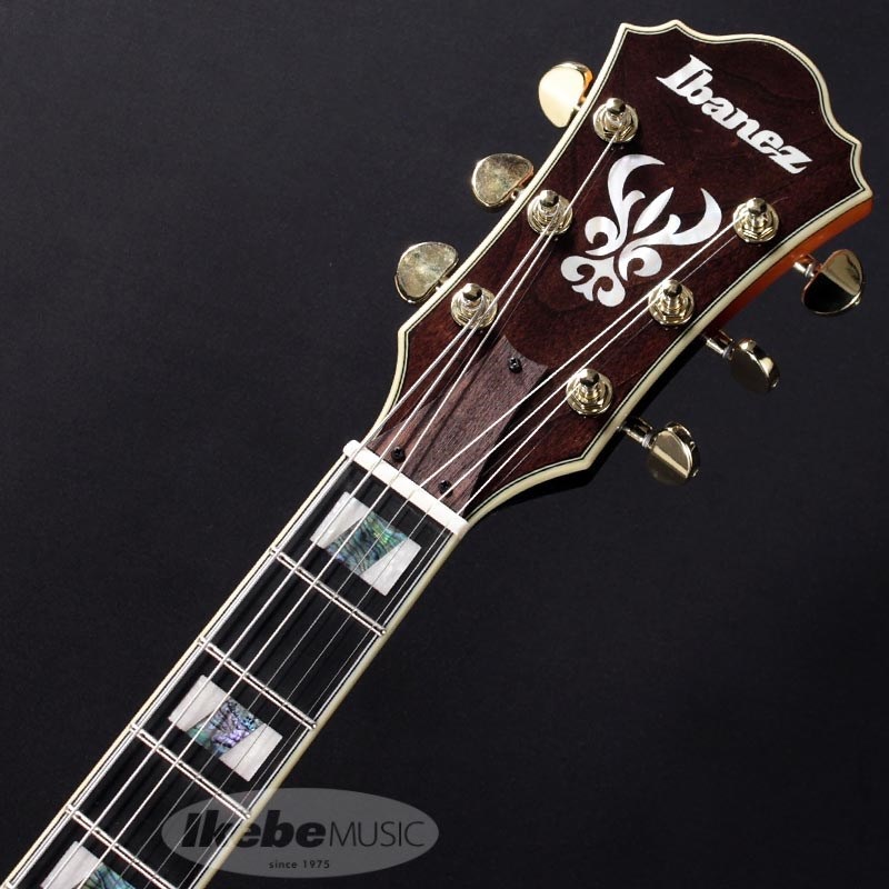 Ibanez AS113-BS【特価】 画像4