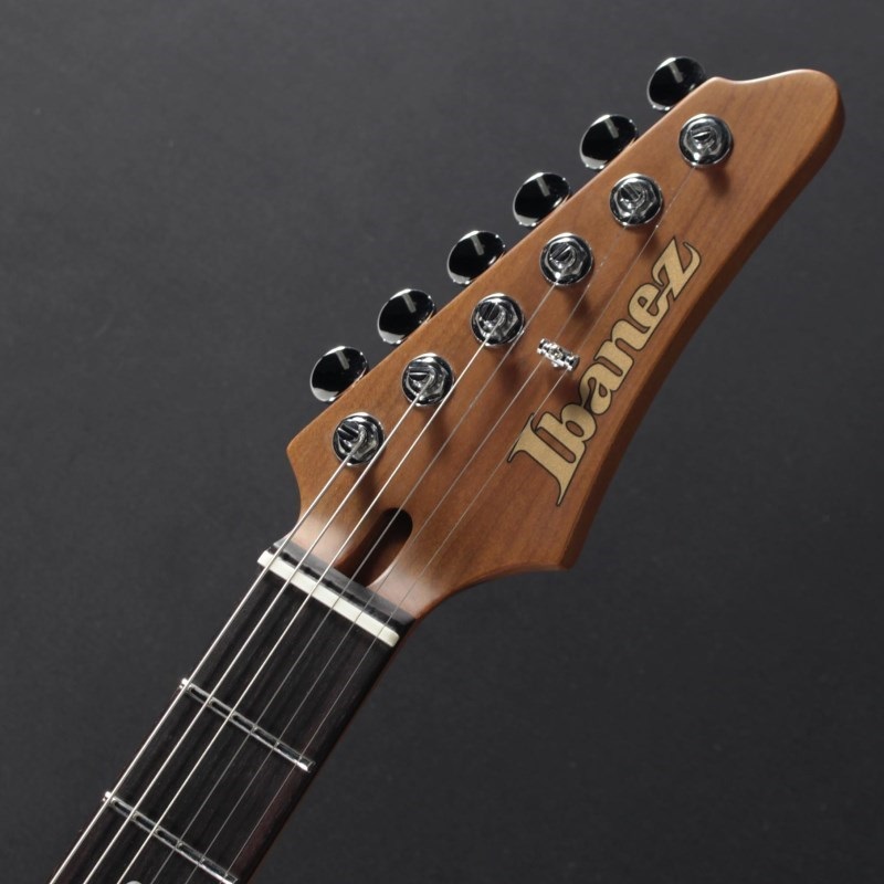 Ibanez AZ2204NW-DTB【特価】 画像4