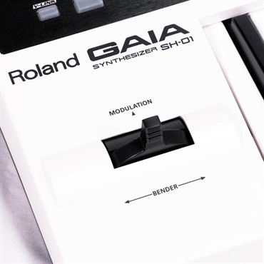 Roland USED 中古 【夏のボーナスセール】GAIA SH-01 画像1