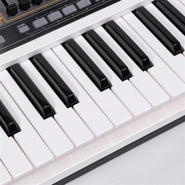 Roland USED 中古 【夏のボーナスセール】GAIA SH-01 画像2