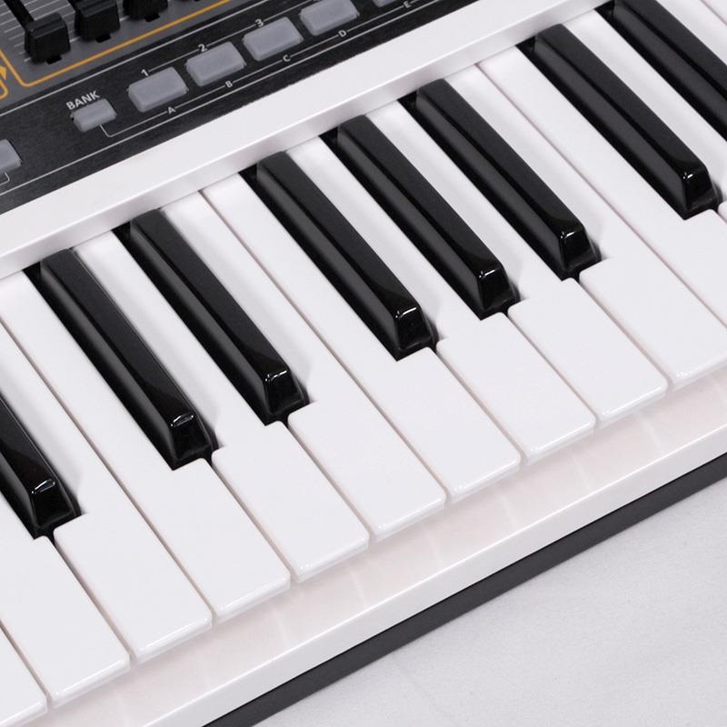 Roland USED 中古 【夏のボーナスセール】GAIA SH-01 画像2