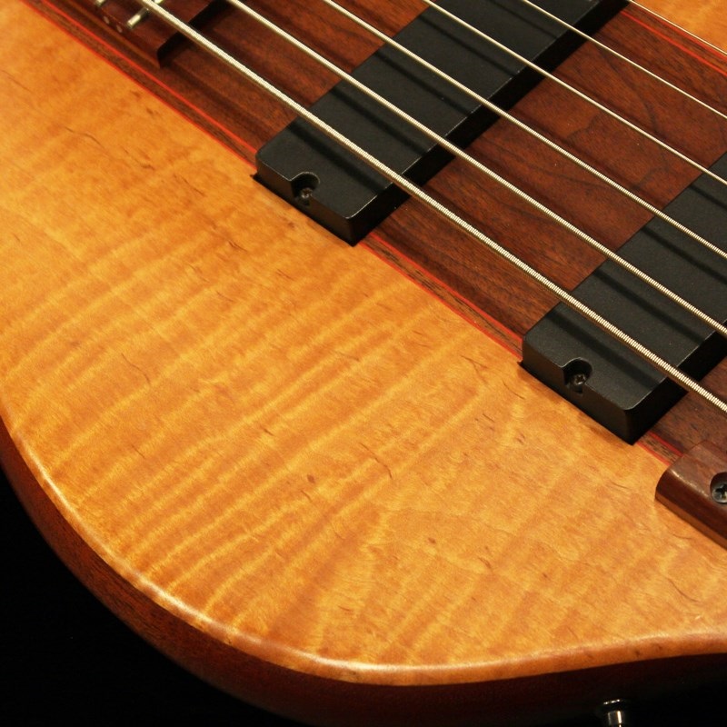 Carl Thompson 【USED】 6string Bass w/Adjustable Wood Bridge '97 画像3