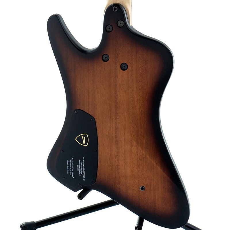 DINGWALL D-Roc Standard 5strings (Matte Vintageburst) 画像7