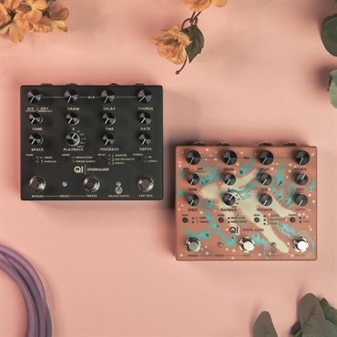 WALRUS AUDIO Qi Etherealizer #TC（Terracotta）【2月28日発売予定】 画像4