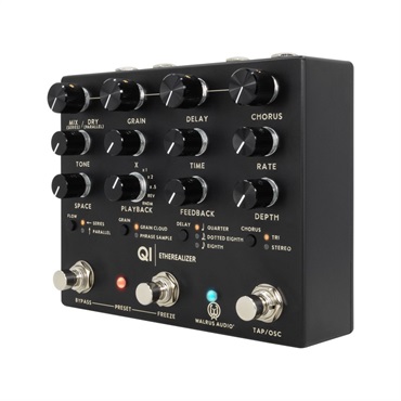 WALRUS AUDIO Qi Etherealizer #BK（Black）【2月28日発売予定】 画像2