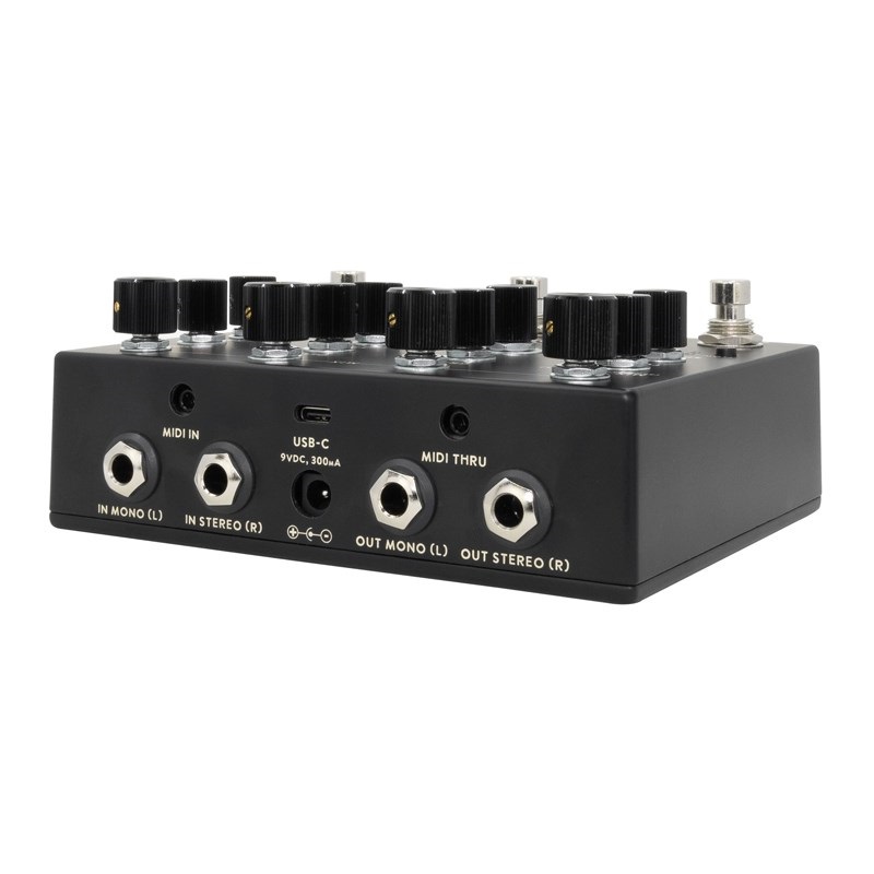 WALRUS AUDIO Qi Etherealizer #BK（Black）【2月28日発売予定】 画像3