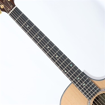 TAYLOR Legacy 714ce テイラー 画像6