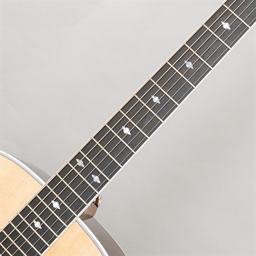 TAYLOR Legacy 815e テイラー 画像8