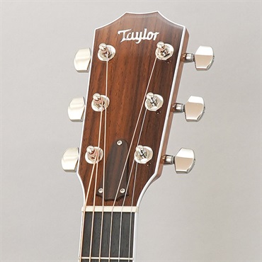 TAYLOR Legacy 815e テイラー 画像10