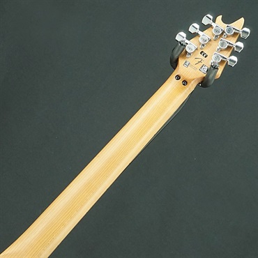 EVH 【USED】Wolfgang Special QM (Solar/Baked Maple)【SN.WG213091M】 画像5
