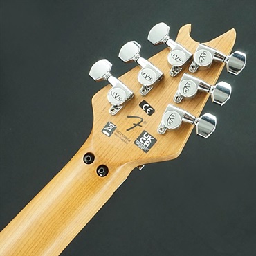 EVH 【USED】Wolfgang Special QM (Solar/Baked Maple)【SN.WG213091M】 画像7