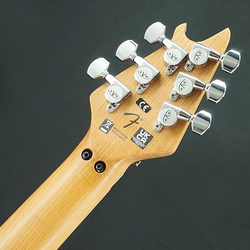 EVH 【USED】Wolfgang Special QM (Solar/Baked Maple)【SN.WG213091M】 画像7