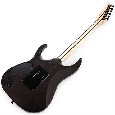 Ibanez j.custom Axe Design Lab RG8870-BRE 【SN.F2500326】 画像2