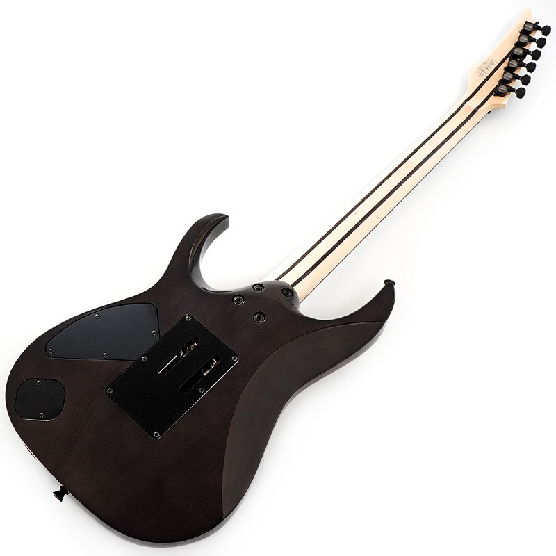 Ibanez j.custom Axe Design Lab RG8870-BRE 【SN.F2500326】 画像2