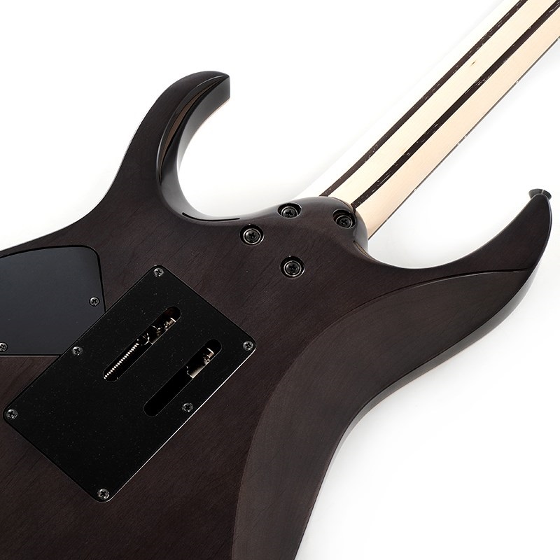 Ibanez j.custom Axe Design Lab RG8870-BRE 【SN.F2500326】 画像5
