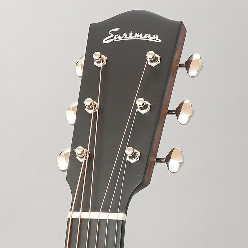 EASTMAN E10SS-TC SB イーストマン 画像10