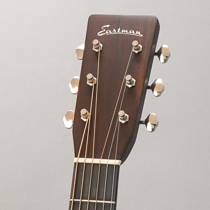 EASTMAN E20D-MR-TC イーストマン 画像10