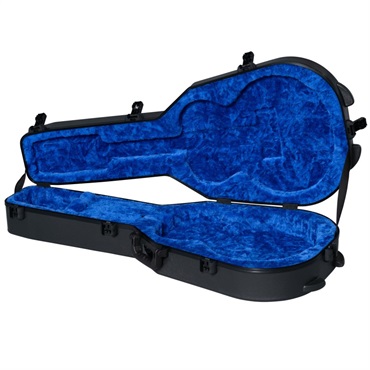 Gibson 【夏のボーナスセール】 Deluxe Protector Case， J-185 画像2