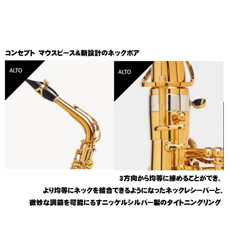 Selmer Paris 【彦坂眞一郎氏選定品】アルトサックス セルマー Signature シグネチャー DARK SL(ダークシグネチャーラッカー)【選定料サービス!!】 【調整&セットアップ後出荷】【5年間キーバランス調整無料】 画像2