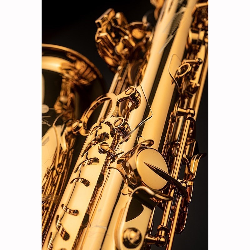 Selmer Paris 【彦坂眞一郎氏選定品】アルトサックス セルマー Signature シグネチャー DARK SL(ダークシグネチャーラッカー)【選定料サービス!!】 【調整&セットアップ後出荷】【5年間キーバランス調整無料】 画像6