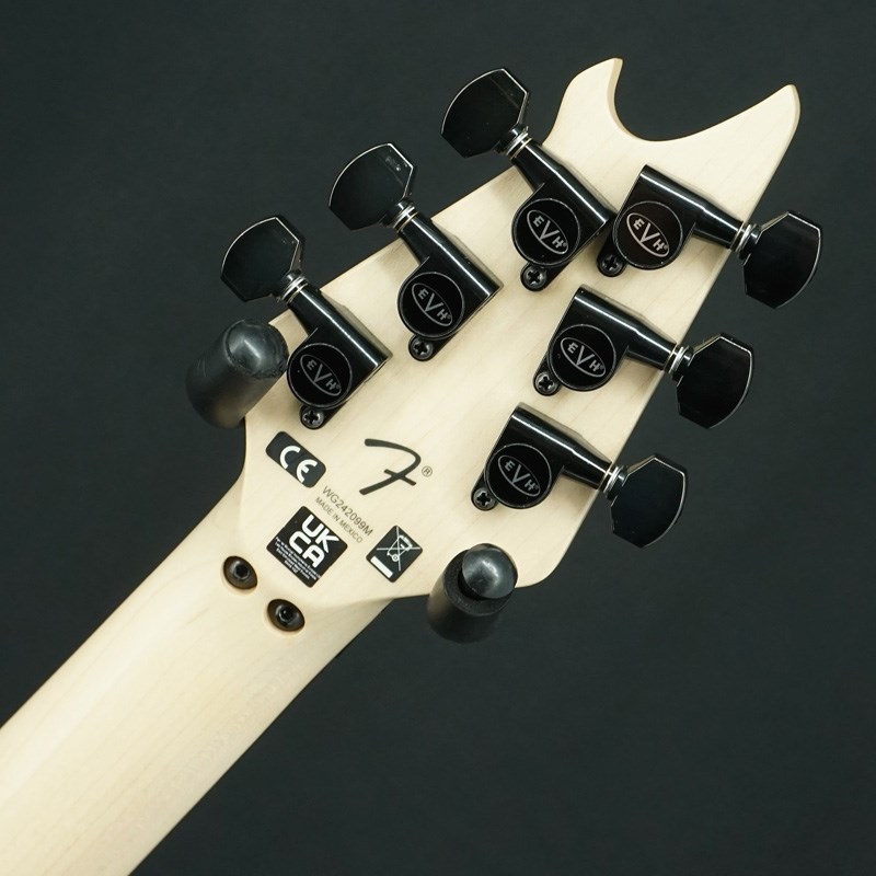EVH 【USED】Wolfgang Special (Stealth BlackEbony)【SN.WG242099M】 画像7