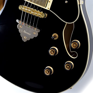 Ibanez Artcore Expressionist AS93SP-BK (Black) [SPOT MODEL] 画像4